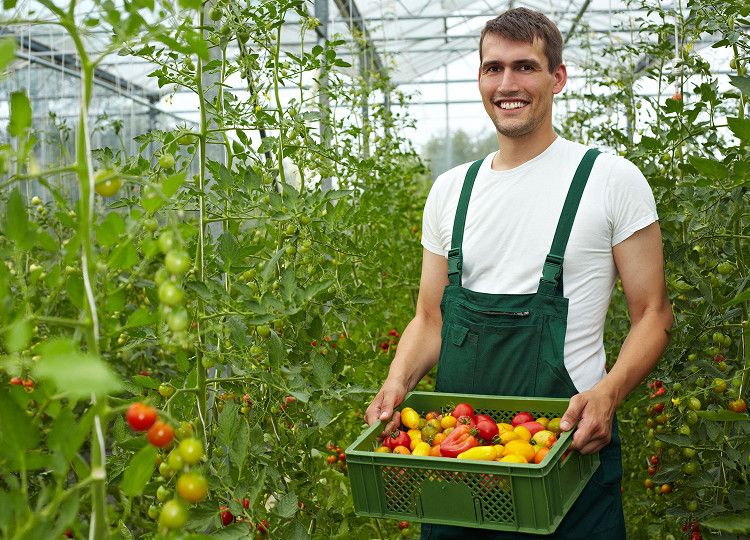 Agricultural Contractors