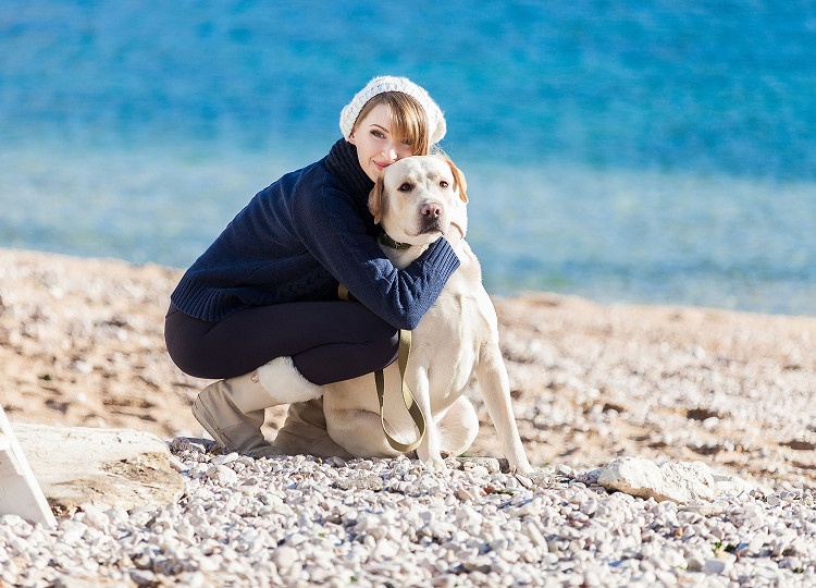 Animal Care
