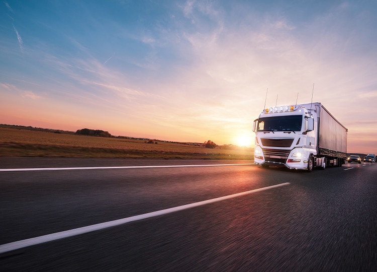 Logistics & Transport