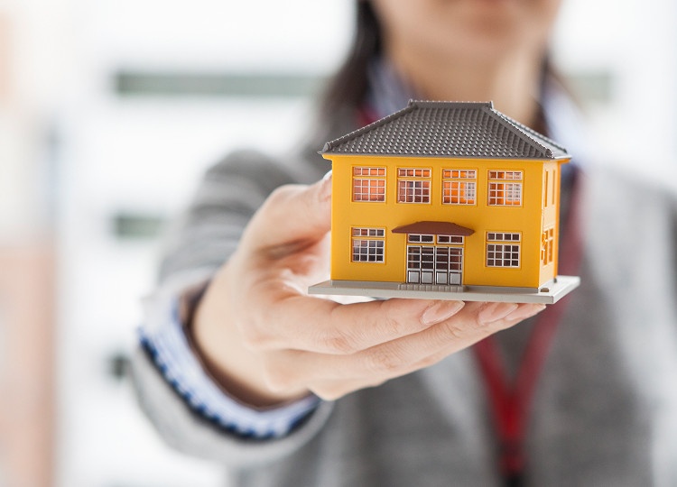 Property & Real Estate